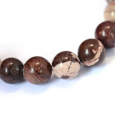 Natural Zebra Jasper Round Bead Strands G-E334-4mm-12-1