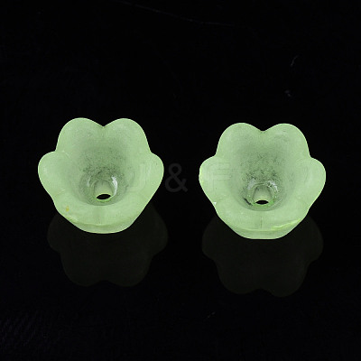 Transparent Acrylic Beads X-FACR-N005-001-1