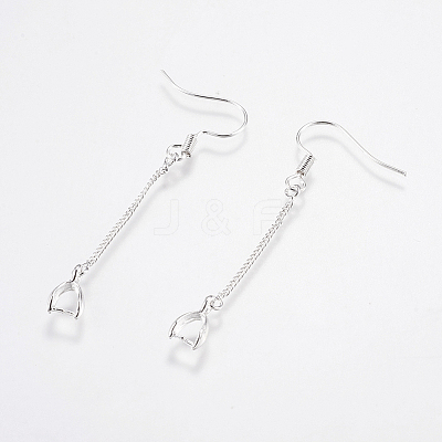 Brass Earring Hooks LS-KK-I618-26S-RS-1