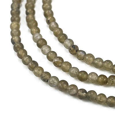 Natural Labradorite Beads Strands G-M438-A01-02-1