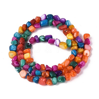 Natural Freshwater Shell Beads Strands SHEL-N037-04A-1