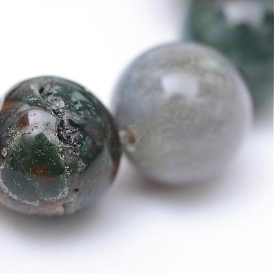 Round Natural Indian Agate Bead Strands G-R345-6mm-08-1