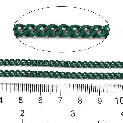 Spray Painted 304 Stainless Steel Curb Chains STAS-B067-05B-07-1