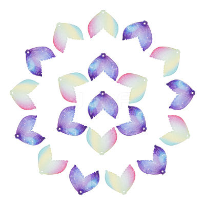 20Pcs 2 Colors Gradient Color Transparent Resin Pendants RESI-AR0001-24-1