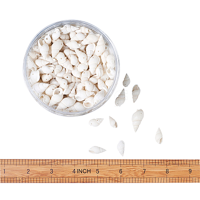 Natural Trumpet Shell Beads BSHE-KS0001-01-1