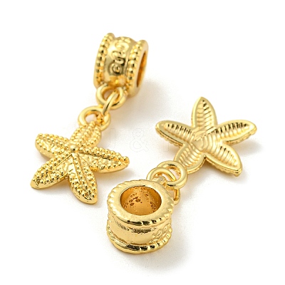 Tibetan Style Alloy European Dangle Charms PALLOY-F199-41G-1