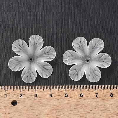 Transparent Acrylic Beads PAF154Y-11-1