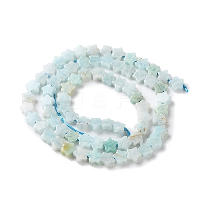 Natural Amazonite Beads Strands G-G085-B45-02-1