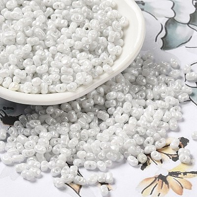 Glass Seed Beads SEED-K009-02A-10-1