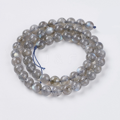 Natural Labradorite Beads Strands G-G448-8mm-04B-1