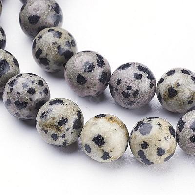 Natural Dalmatian Jasper Beads Strands GSR10mmC004-1
