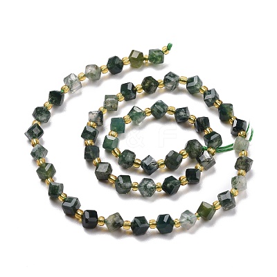 Natural Moss Agate Beads Strands G-P463-10-1