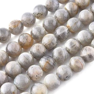 Natural Labradorite Beads Strands X-G-G212-8mm-23-1