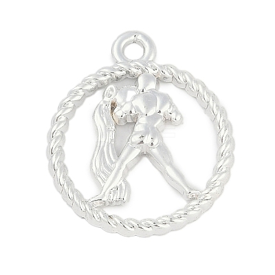 Twelve Constellations Alloy Pendants PALLOY-Q006-01E-S-1