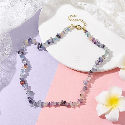Natural Fluorite Chip Beaded Necklace NJEW-JN04616-11-1
