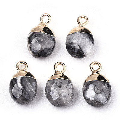Natural Map Stone/Picasso Stone/Picasso Jasper Charms X-G-N326-58B-1