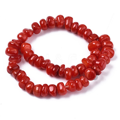 Natural Freshwater Shell Beads Strands SHEL-S278-041-1