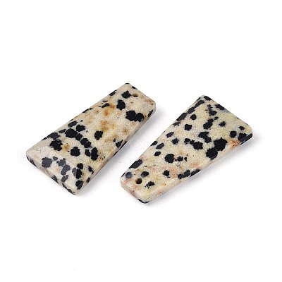 Natural Dalmatian Jasper Pendants G-Q601-10B-1