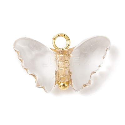 Plating Transparent Acrylic Pendants PALLOY-JF02202-1