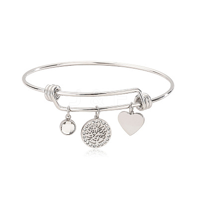 Stainless Steel Micro Pave Cubic Zirconia Charm Bangles  PW-WG9247A-02-1