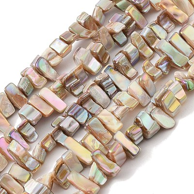 Natural Freshwater Shell Beads Strands BSHE-H018-07A-1