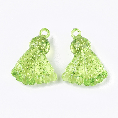 Transparent Acrylic Pendants TACR-S133-058-1