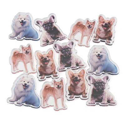 12Pcs 4 Styles Printed Acrylic Pendants OACR-TA0004-14B-1