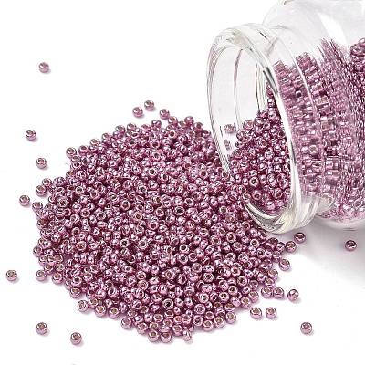 MIYUKI Round Rocailles Beads X-SEED-G007-RR4218-1