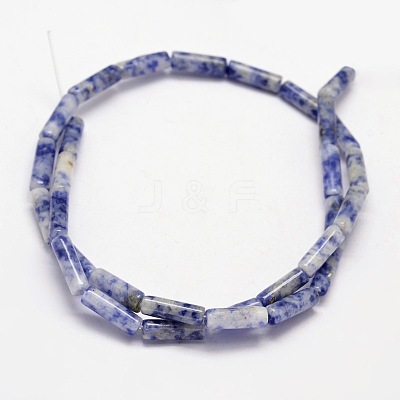Natural Blue Spot Jasper Column Beads Strands X-G-F247-02-1