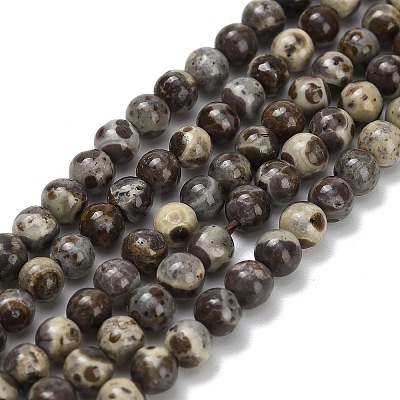 Natural Astroite Jasper Beads Strands G-F814-A01-4mm-1