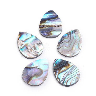 Natural Abalone Shell/Paua Shell Cabochons SSHEL-L017-002-1