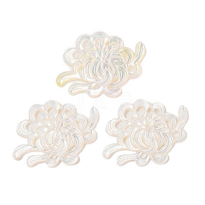 Natural White Shell Carved Cabochons SSHEL-C012-24C-1
