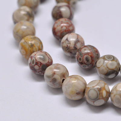 Natural Maifanite/Maifan Stone Beads Strands X-G-F353-8mm-1