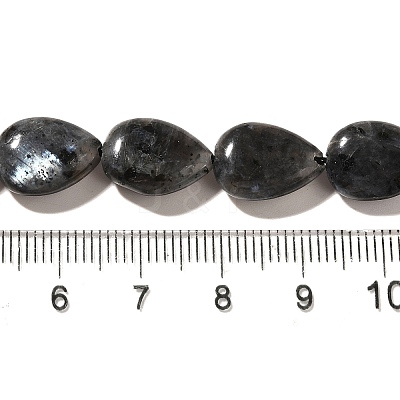 Natural Larvikite Beads Strands G-I377-A10-1