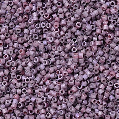 MIYUKI Delica Beads X-SEED-J020-DB1066-1