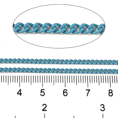 Spray Painted 304 Stainless Steel Curb Chains STAS-B067-05A-06-1