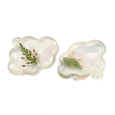 Epoxy Resin Pendants RESI-S09-01N-RS-1