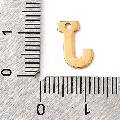304 Stainless Steel Charms STAS-B093-12G-J-1