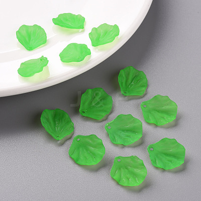 Transparent Frosted Acrylic Pendants MACR-S371-01A-734-1