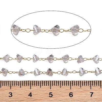 Glass & 304 Stainless Steel Beaded Chains SA-CBAD321-04A-1