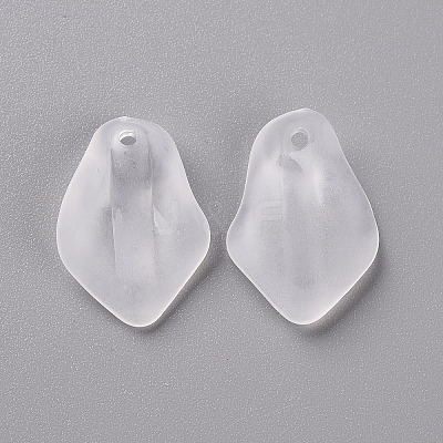 Transparent Frosted Acrylic Pendants MACR-S371-03A-701-1