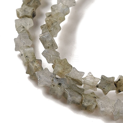 Natural Labradorite Beads Strands G-G085-B25-01-1