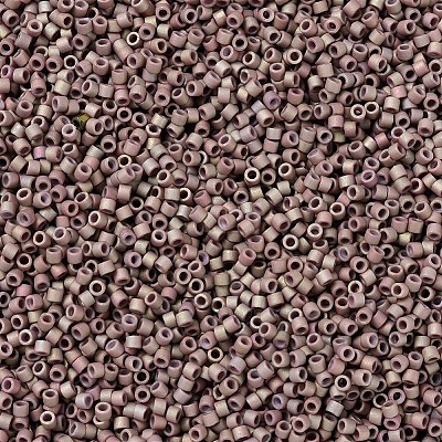 MIYUKI Delica Beads SEED-X0054-DB1061-1