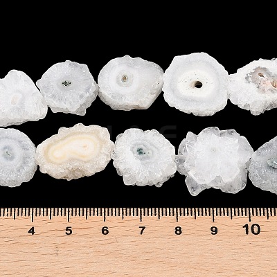 Natural Sunflower Druzy Agate Slice Beads Strands G-K381-A01-1
