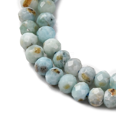 Natural Larimar Beads Strands G-F803-B01-02-1