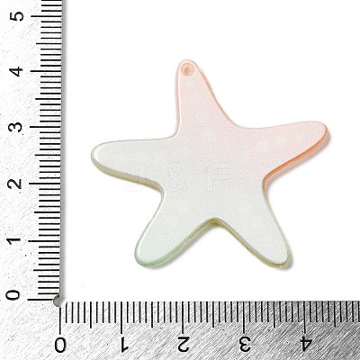 Acrylic Pendants FIND-Q105-06B-01-1