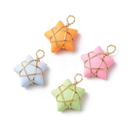 Opaque Resin Pendants PALLOY-JF01849-01-1