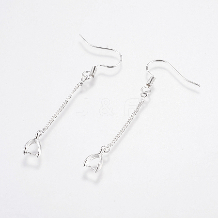 Brass Earring Hooks LS-KK-I618-26S-RS-1
