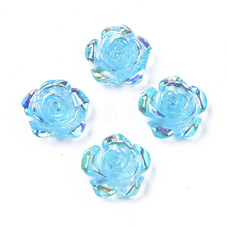 Transparent Resin Cabochons CRES-N030-001B-02-1