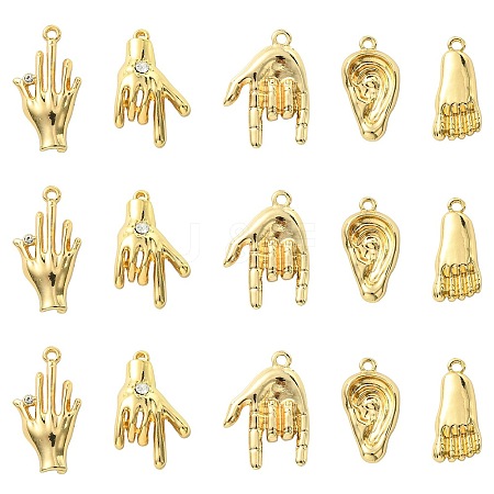 30Pcs 5 Styles Alloy Rhinestone Pendants FIND-CJ0002-42-1